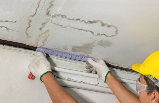 Reliable Sewage Cleanup contractor in Florence, CO by Water Damage Irwin